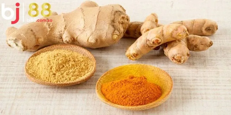 Những lưu ý đặc biệt khi vào nghệ cho gà chọi tại BJ88