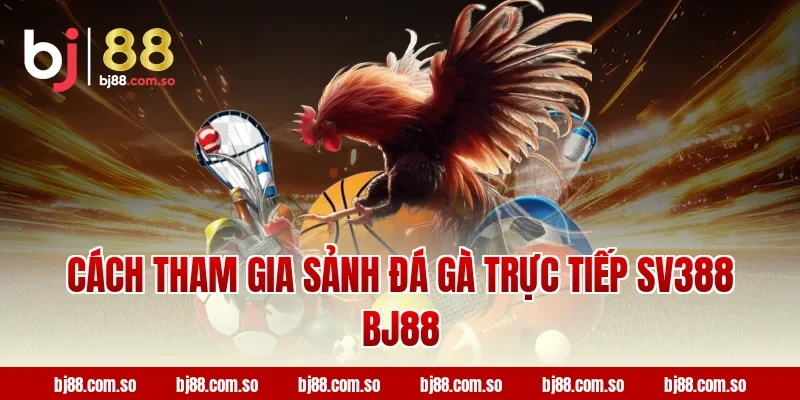 Cách tham gia sảnh đá gà trực tiếp SV388 BJ88