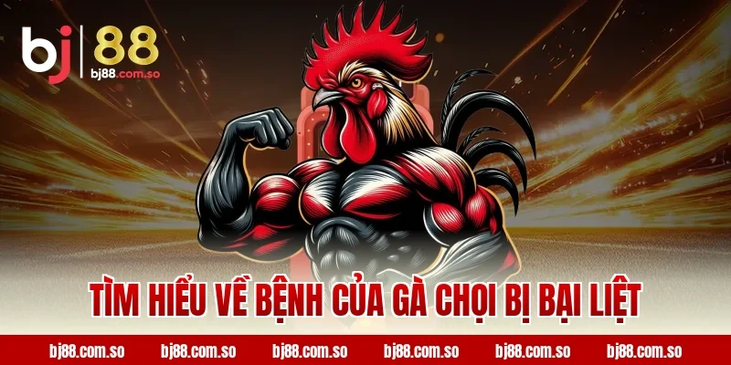 Tìm hiểu về bệnh của gà chọi bị bại liệt 