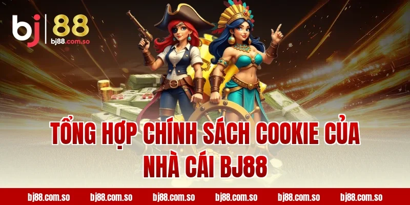 Tổng hợp chính sách cookie của nhà cái BJ88